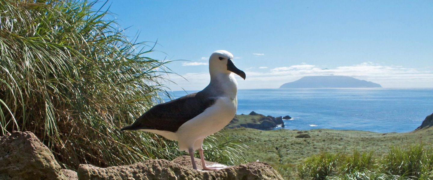 new marine sanctuary, Tristan da Cunha, South Atlantic, protected, extractive activity ban