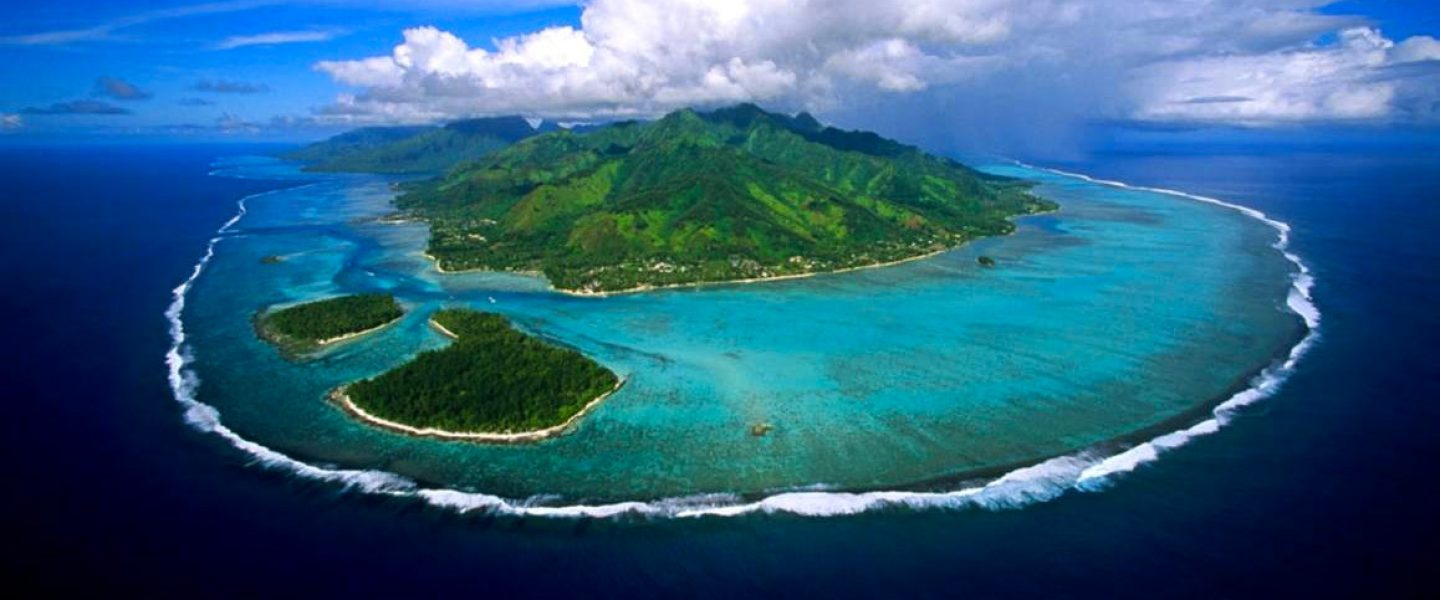 South Pacific, coral reef discovery, pristine, rare