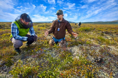 climate change, environment, global goals, green talent