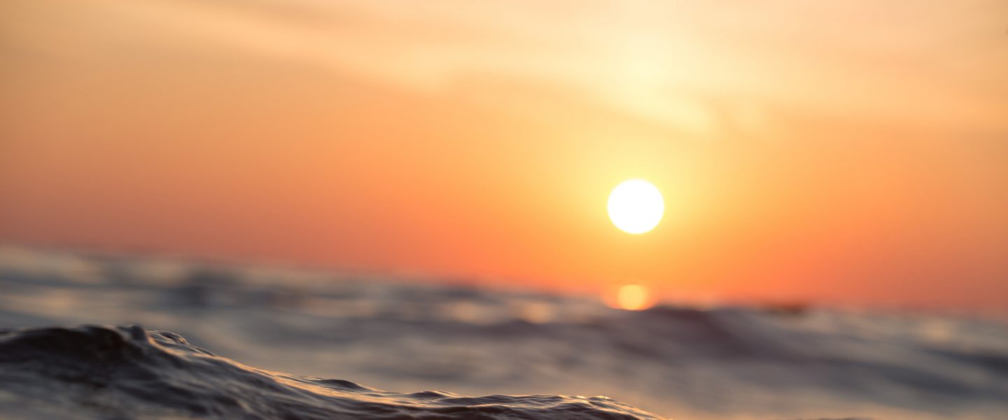 ocean, surface temperature