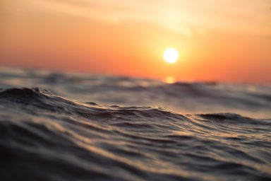 ocean, surface temperature