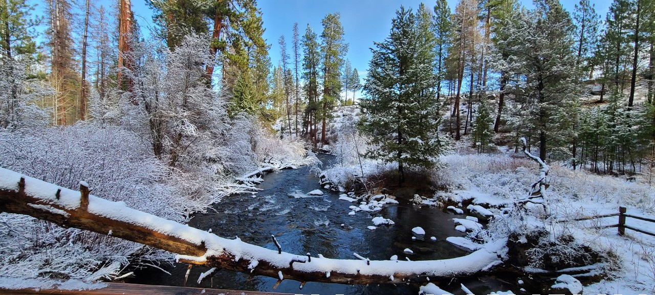 Tumalo Creek, Bend, Oregon