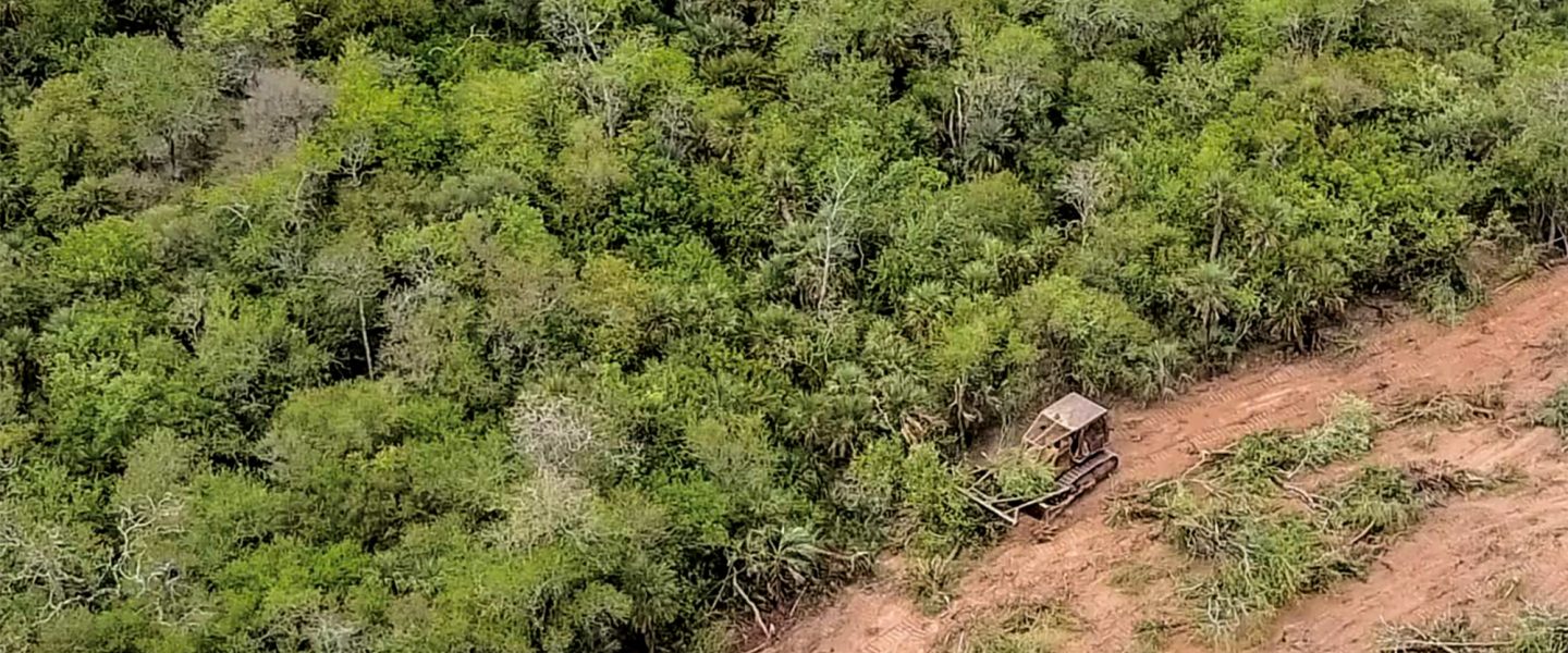 Deforestation, Chaco Forest, Paraguay