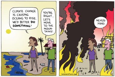 Climate Change, environment, floods, fire