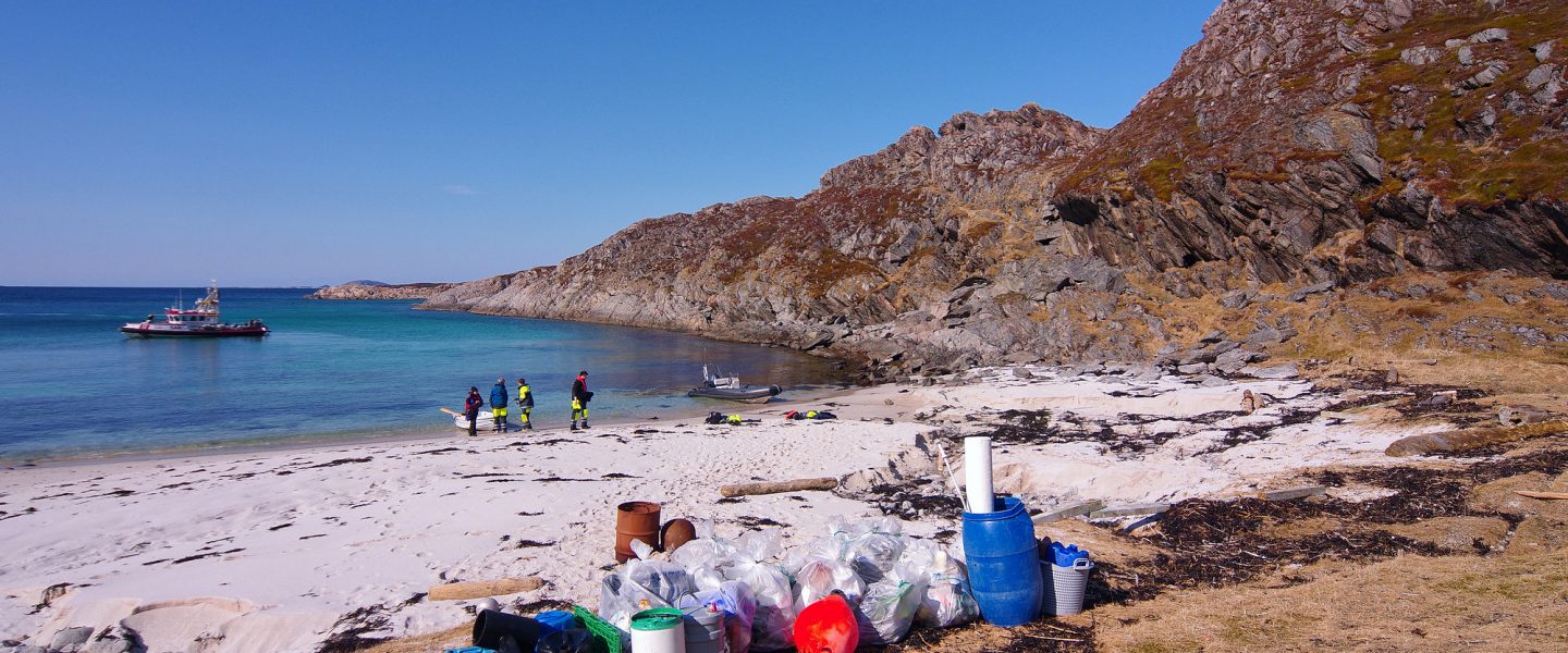 microplastics, human body, pollution, potential health effects