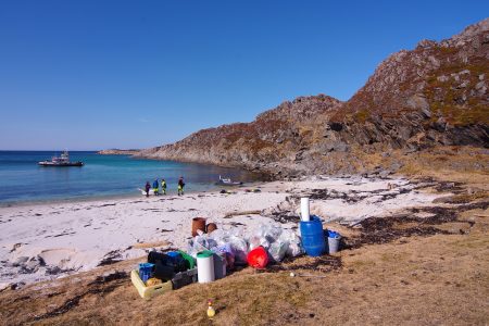 microplastics, human body, pollution, potential health effects