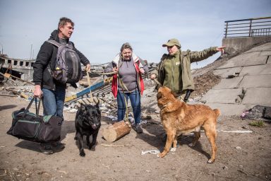 Ukraine, displaced, soldier, dog, bomb damage