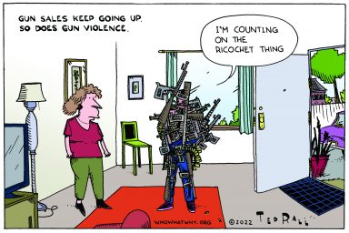Guns, NRA,