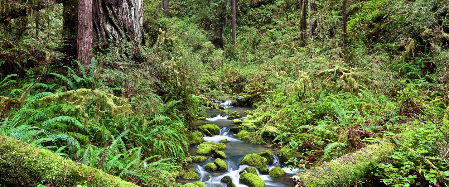 King Range National Conservation Area, creek