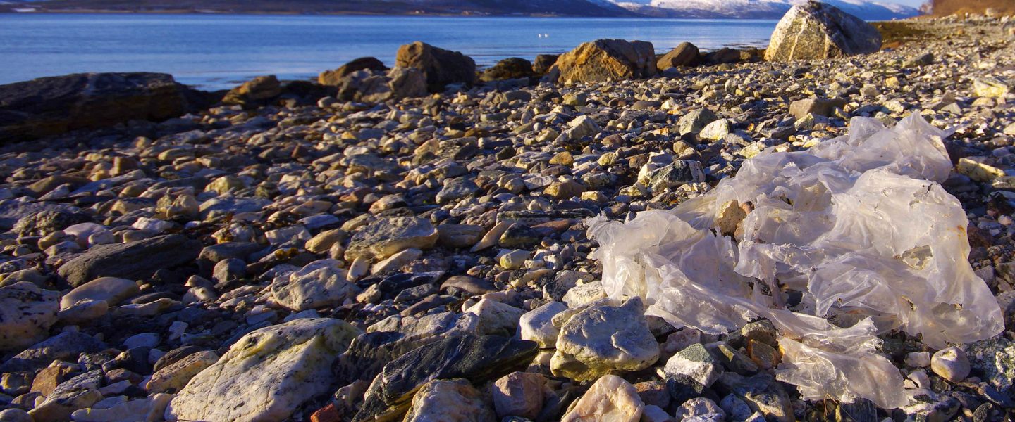 oceans, microplastics, animal and human health, bionic robo-fish