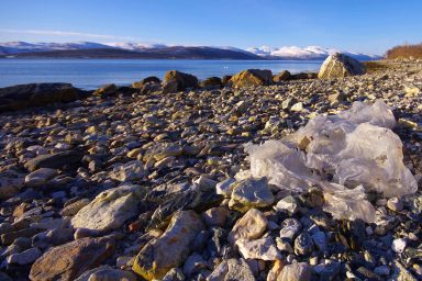 oceans, microplastics, animal and human health, bionic robo-fish