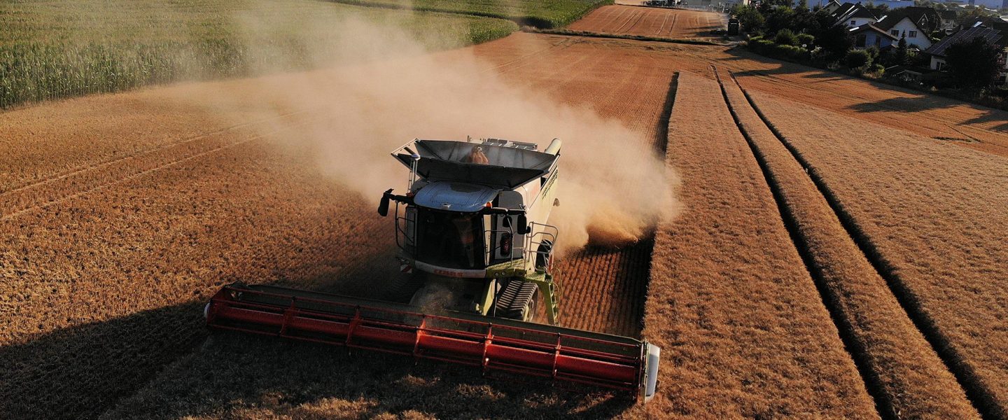 Barley harvest.