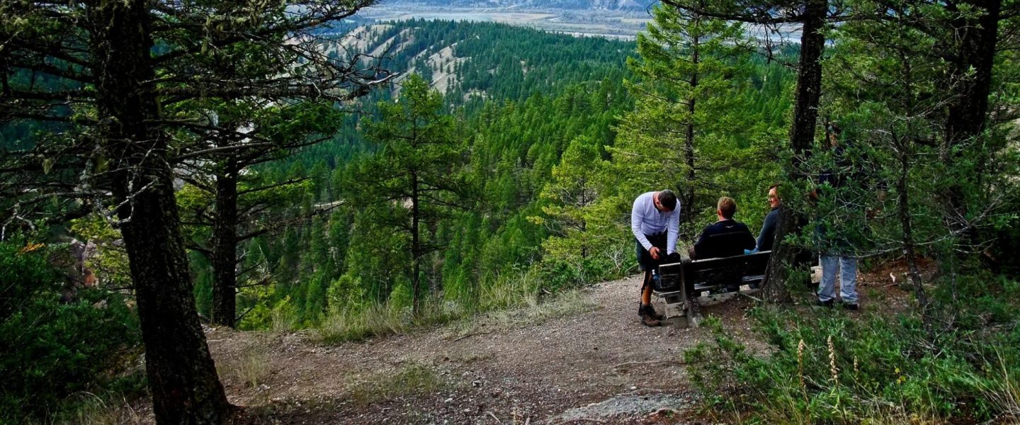 climate change, American West, Forest Service, trees, replanting, 1 billion