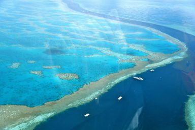 reefs, Australia