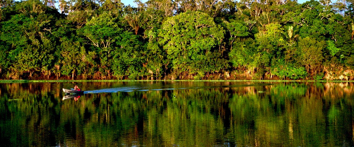climate crisis, Brazil, Amazon rainforest, deforestation