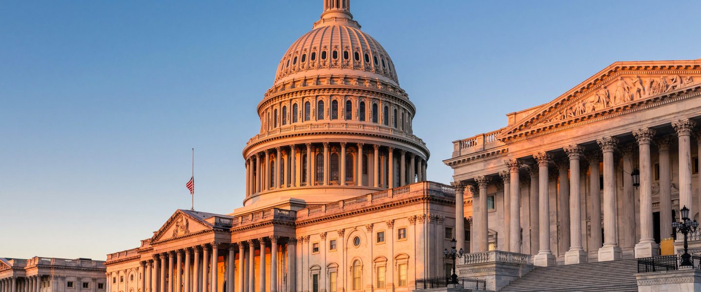 climate crisis, climate action, summit, policy, IRA 2022
