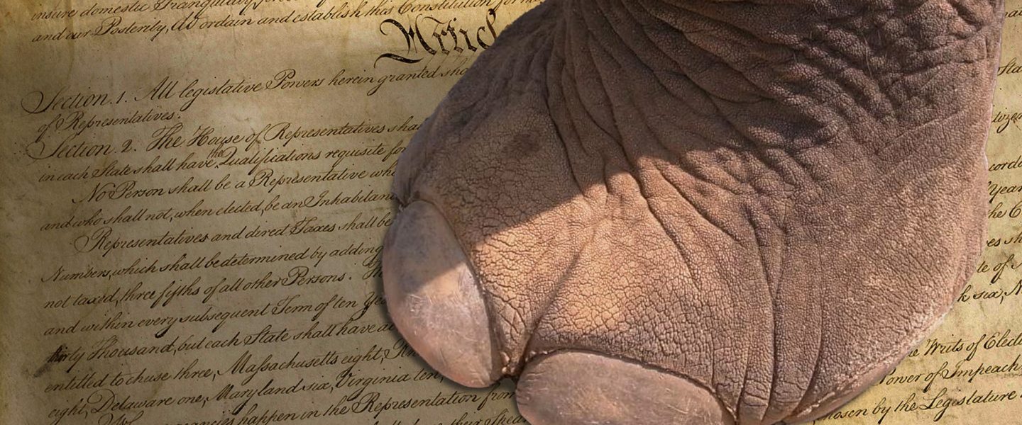 US Constitution, Academy of States