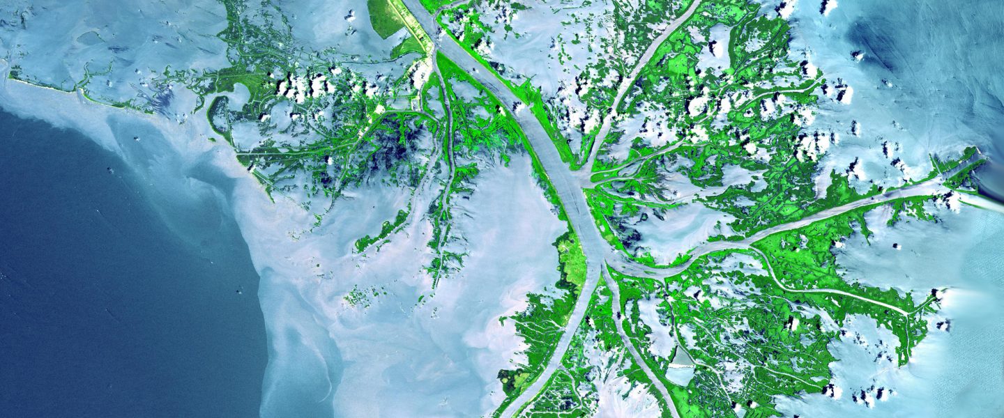 Mississippi River, bird’s-foot delta