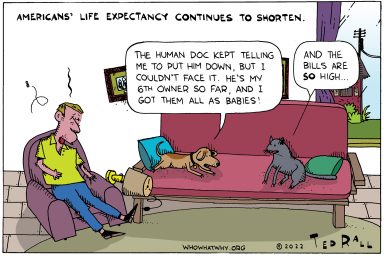 Life Expectancy, Health Care