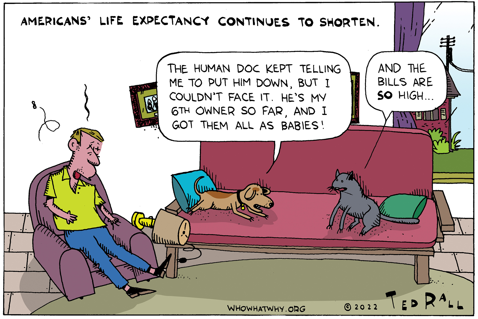 Life Expectancy, Health Care
