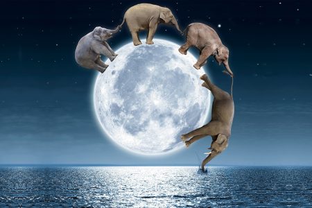 Elephants, March, Moon