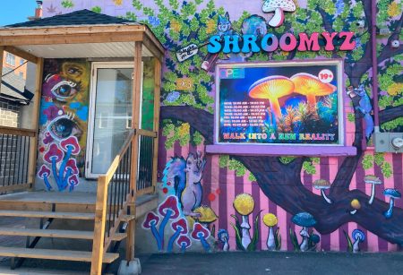 Shroomyz, magic mushroom, dispensary
