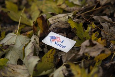 I voted, sticker, ground