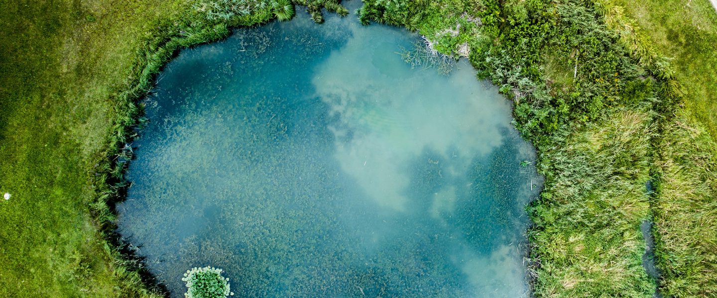 Lake, aerial view