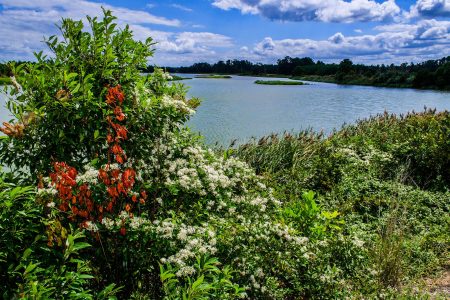 climate crisis, rising seas, Virginia, Hog Island history