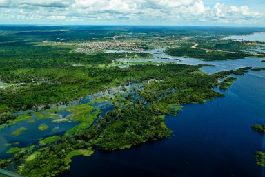 environment, Brazil, Amazon, indigenous reserve, gold miners, illegal road