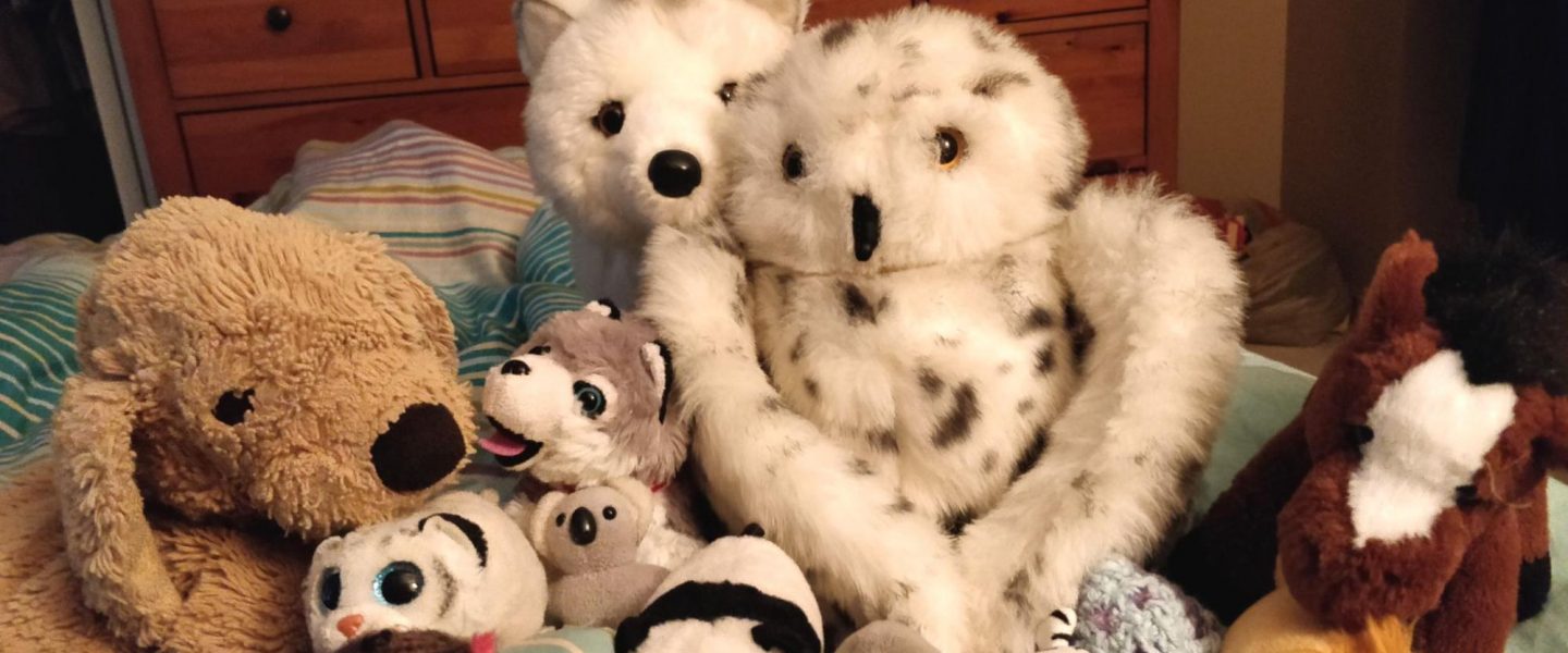 stuff animals