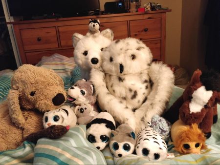 stuff animals