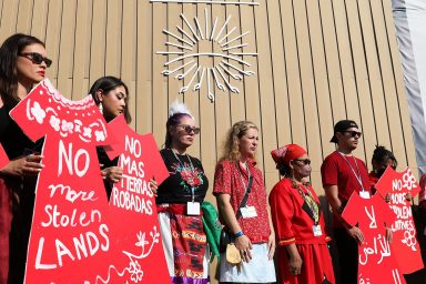Indigenous delegates, COP27
