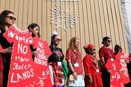 Indigenous delegates, COP27