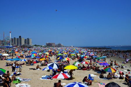 global warming, carbon emissions, mitigation, greener power plants