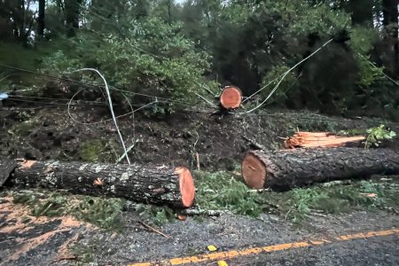 Felton-Empire Road, Felton CA January 11, 2023