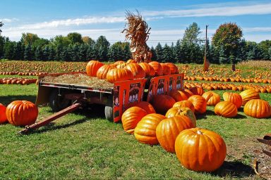 climate change, environment, agriculture, farm soil, reviving