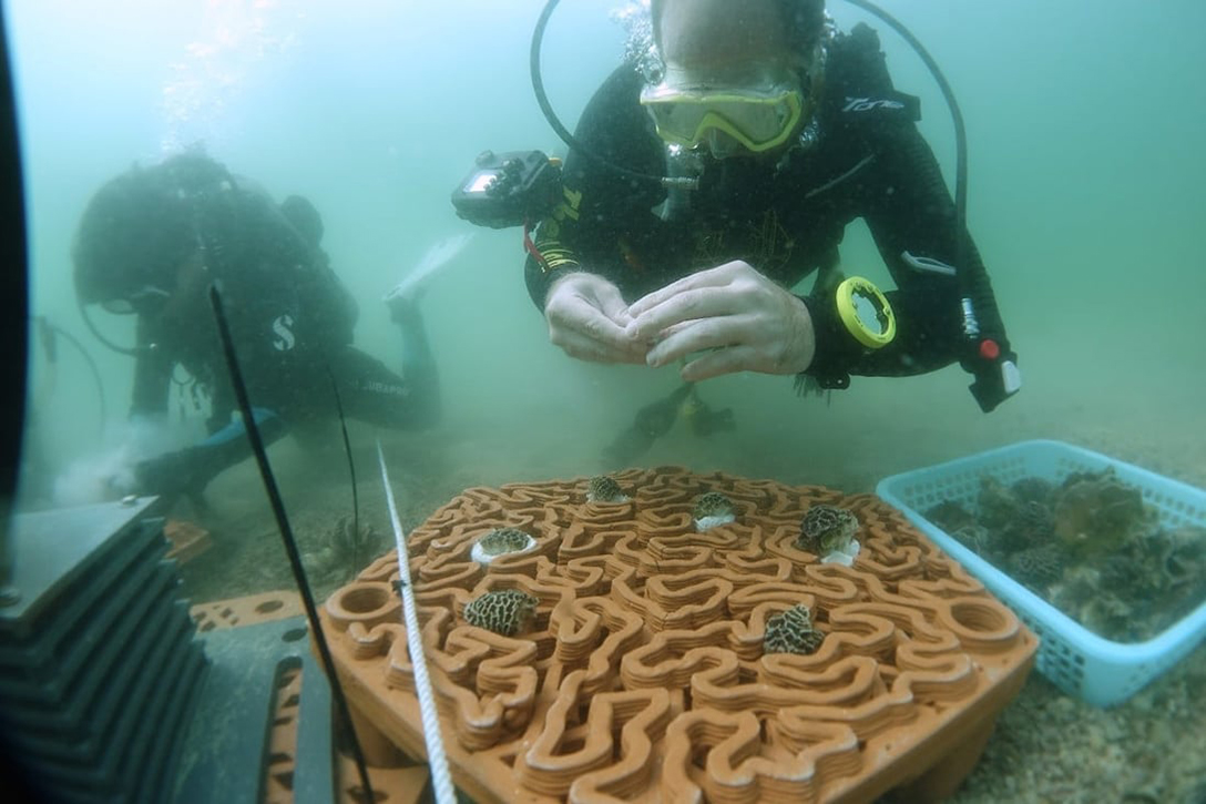 Coral, archiREEF, terracotta tiles
