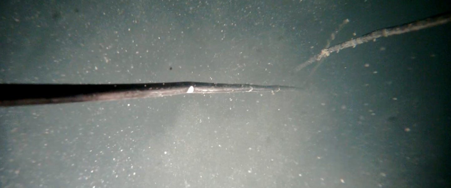 Nord Stream, damaged, gas pipeline
