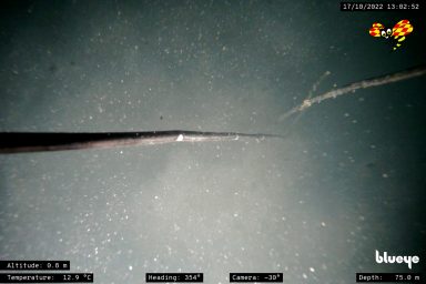 Nord Stream, damaged, gas pipeline