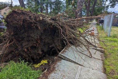 climate crisis, California drought, storms, water problems