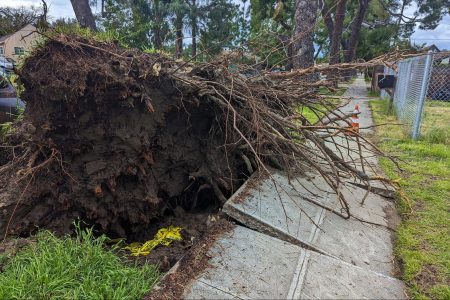 climate crisis, California drought, storms, water problems