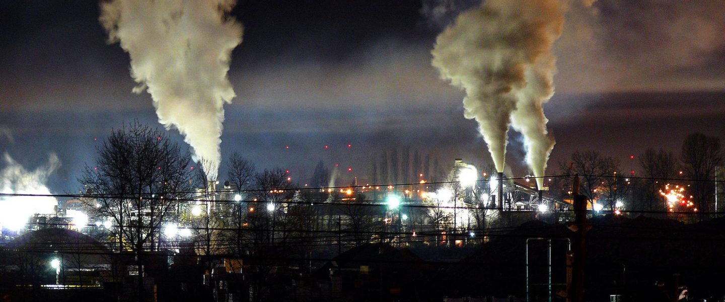 science, environment, biodiversity, light pollution, wildlife
