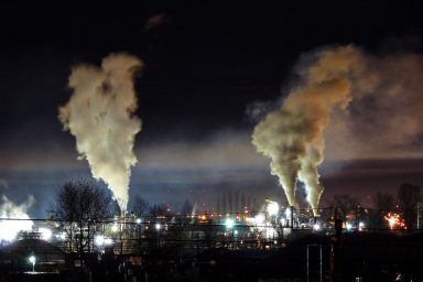 science, environment, biodiversity, light pollution, wildlife