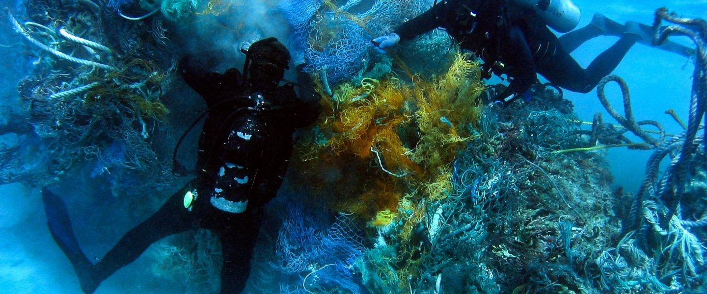 environment, oceans, marine life, Pacific garbage patch, coastal species home