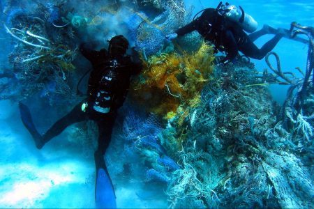 environment, oceans, marine life, Pacific garbage patch, coastal species home