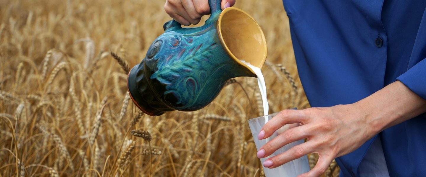 Milk, environment, field