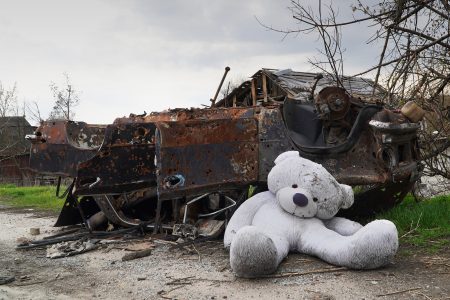Bohorodychne, Ukraine, Bear