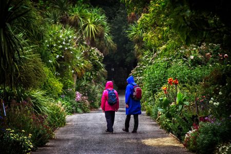 conservation, ecology, plants, seeds, hope, zero extinction