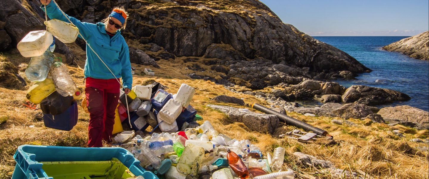 ecology, recycling, plastics, microbes, low temperature